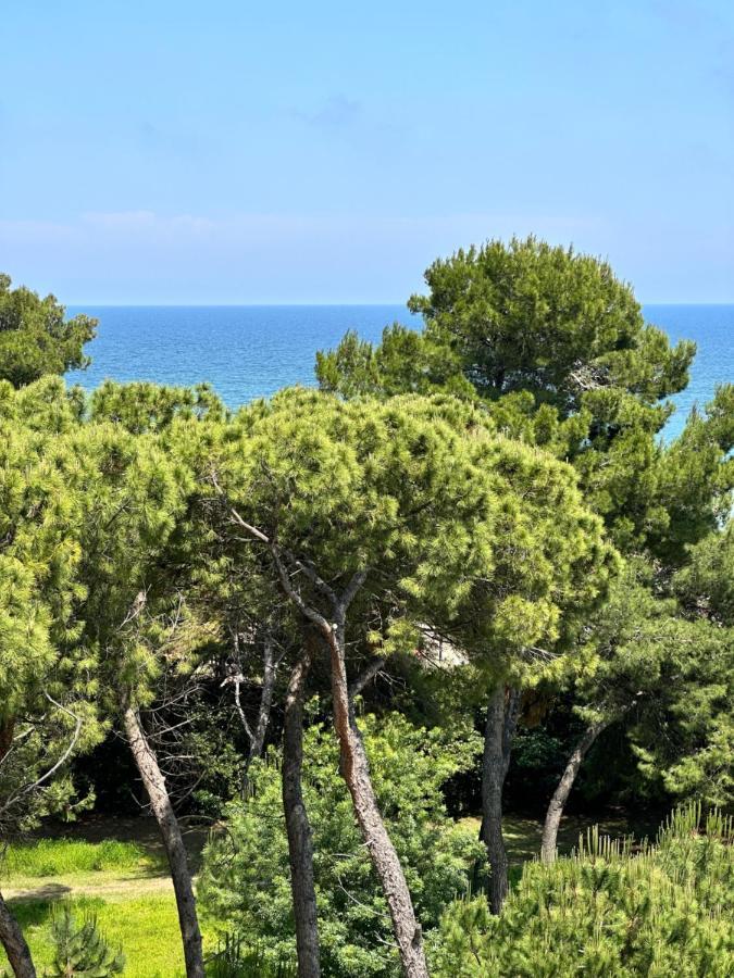 Lortica Apartment Pescara Dış mekan fotoğraf